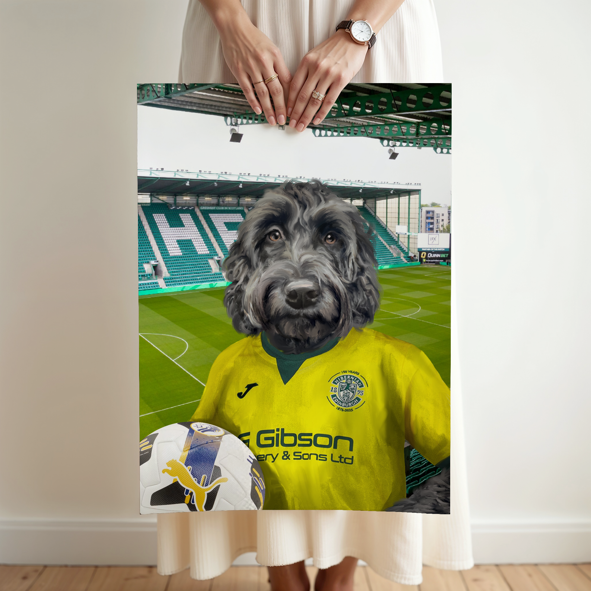 Your Pet in a Hibernian 25/26 Away Shirt