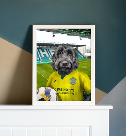 Your Pet in a Hibernian 25/26 Away Shirt