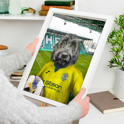 Your Pet in a Hibernian 25/26 Away Shirt