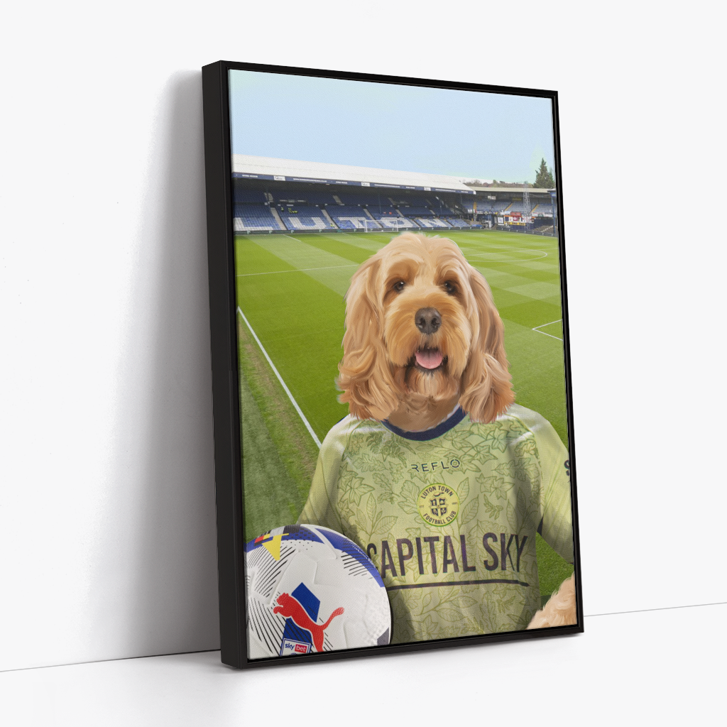 Your Pet in a Luton Town 25/26 3rd Shirt