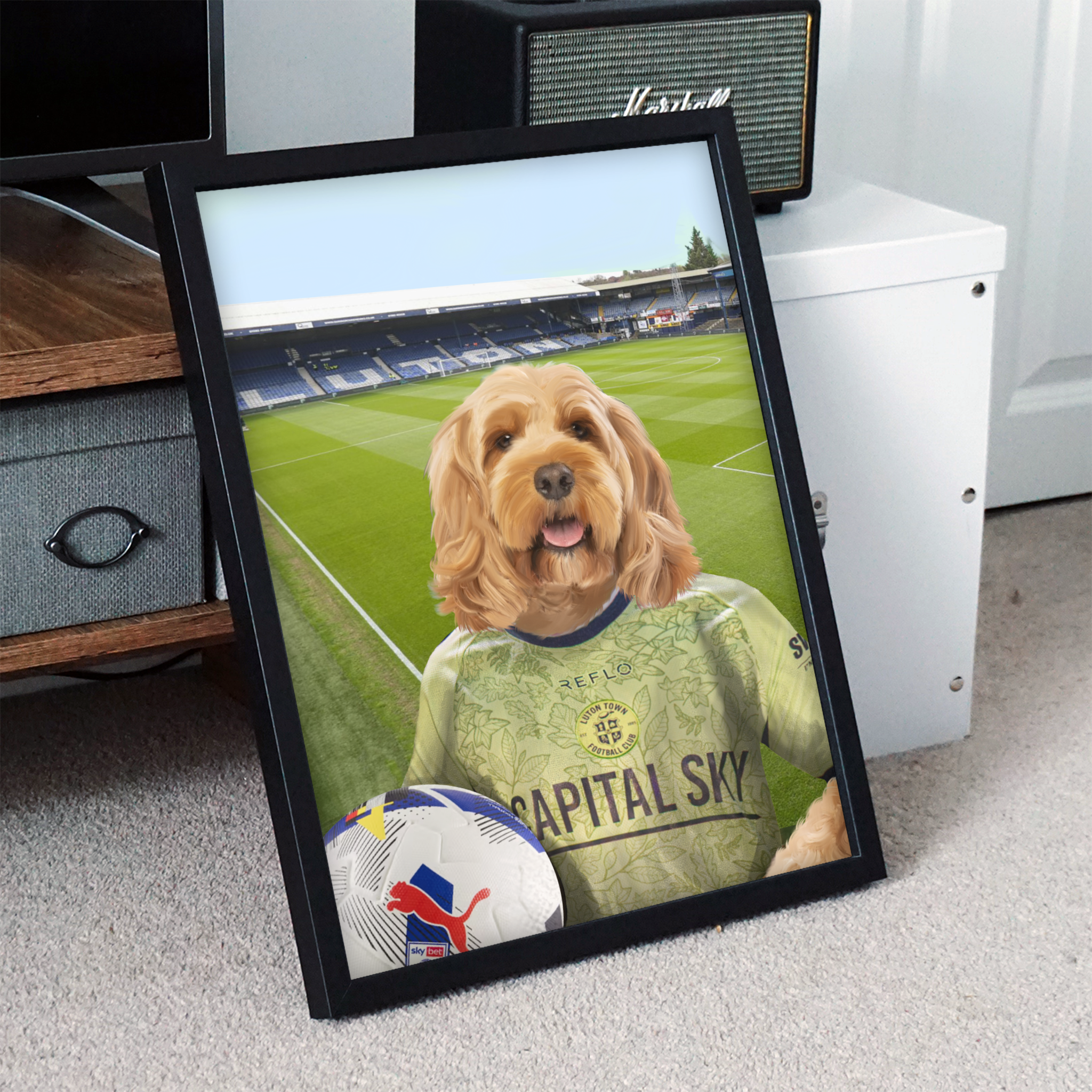 Your Pet in a Luton Town 25/26 3rd Shirt