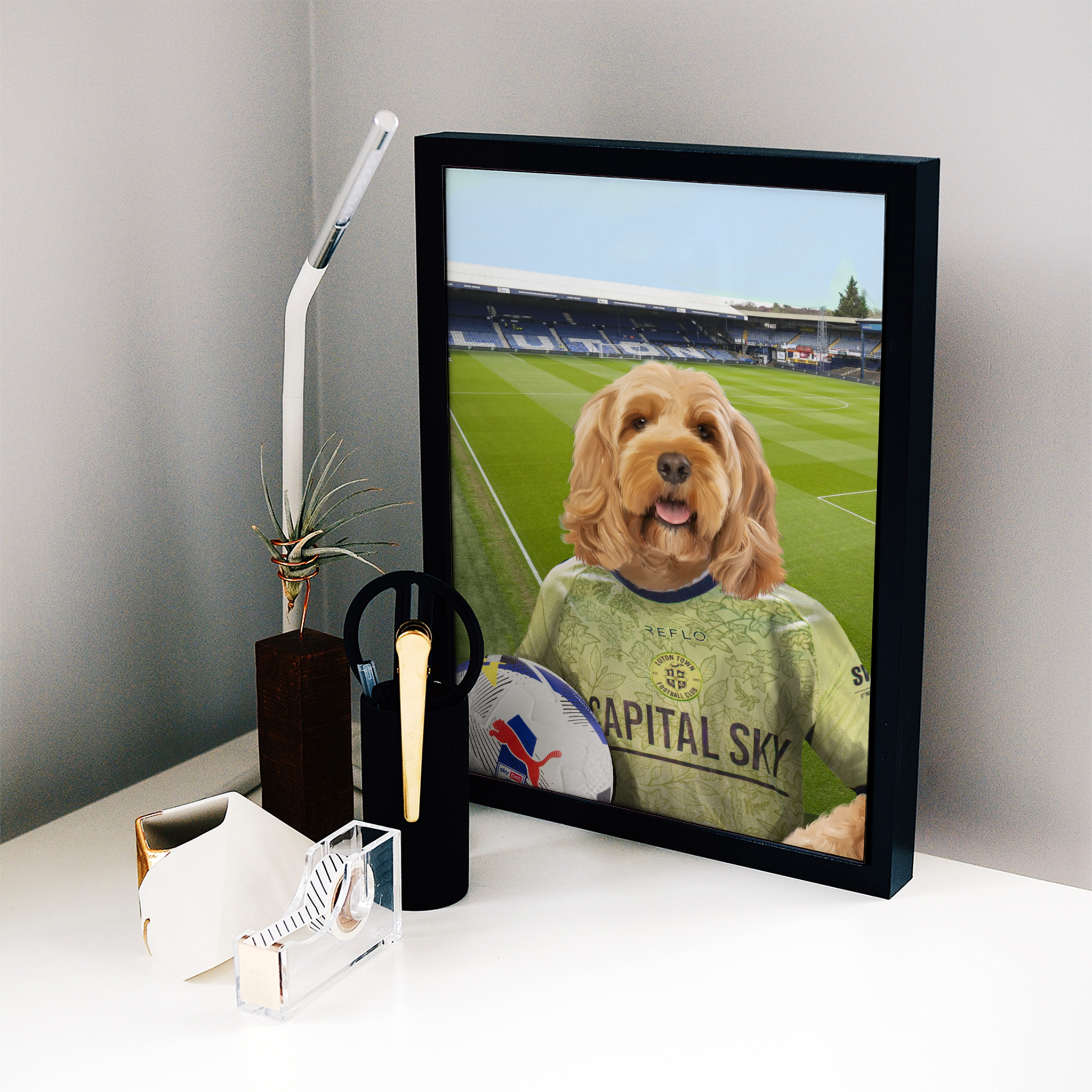 Your Pet in a Luton Town 25/26 3rd Shirt