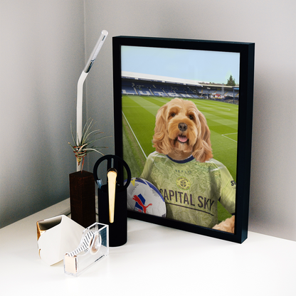 Your Pet in a Luton Town 25/26 3rd Shirt