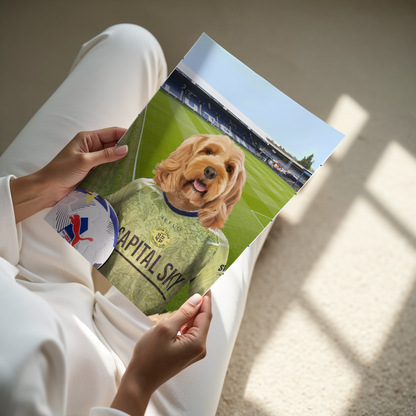 Your Pet in a Luton Town 25/26 3rd Shirt