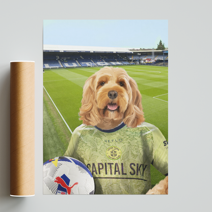 Your Pet in a Luton Town 25/26 3rd Shirt