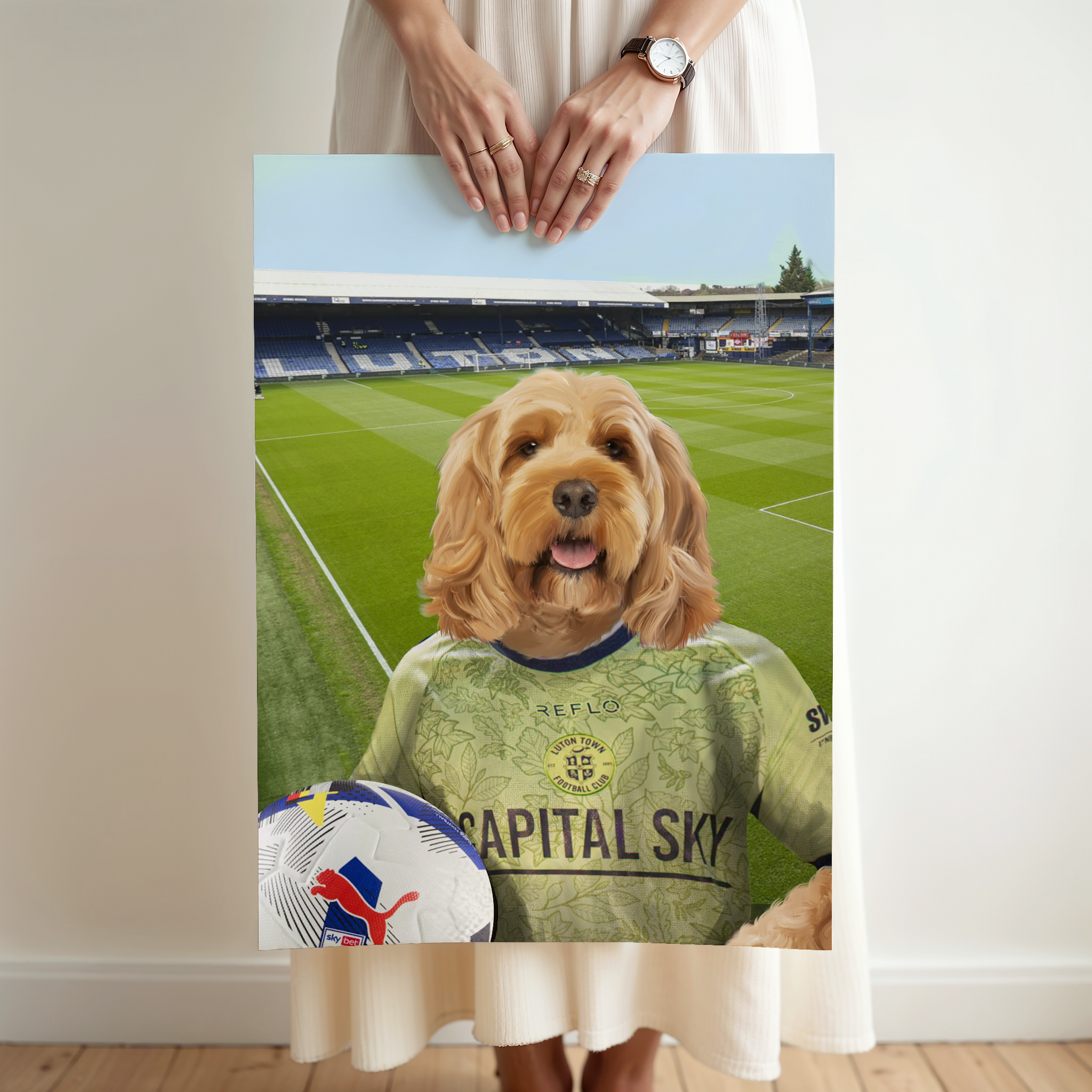 Your Pet in a Luton Town 25/26 3rd Shirt