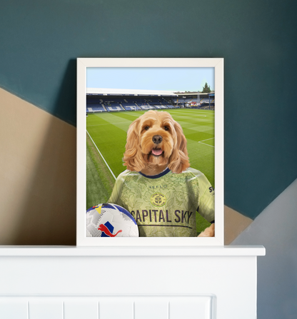 Your Pet in a Luton Town 25/26 3rd Shirt