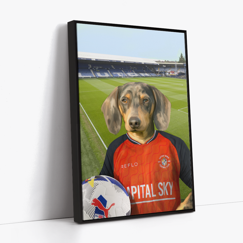 Your Pet in a Luton Town 25/26 Home Shirt
