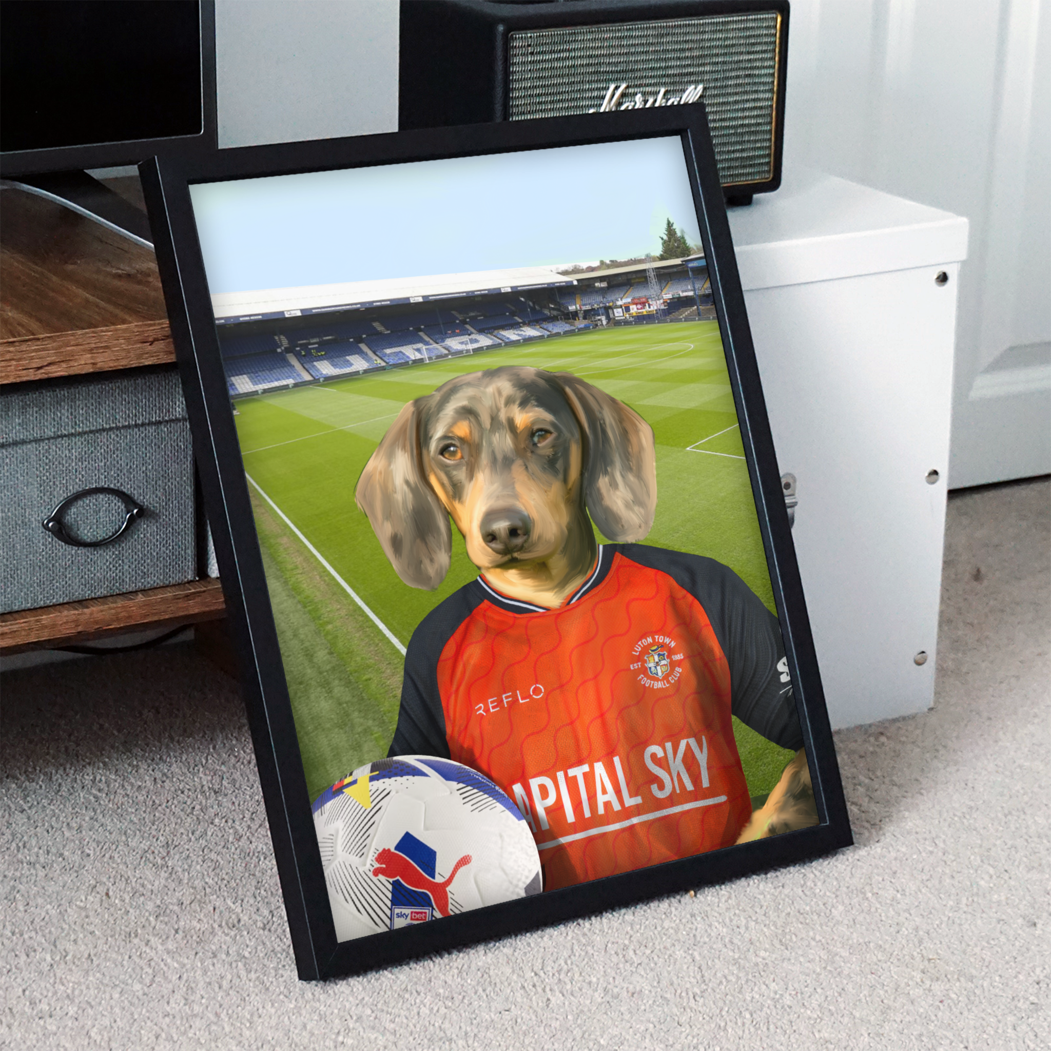 Your Pet in a Luton Town 25/26 Home Shirt