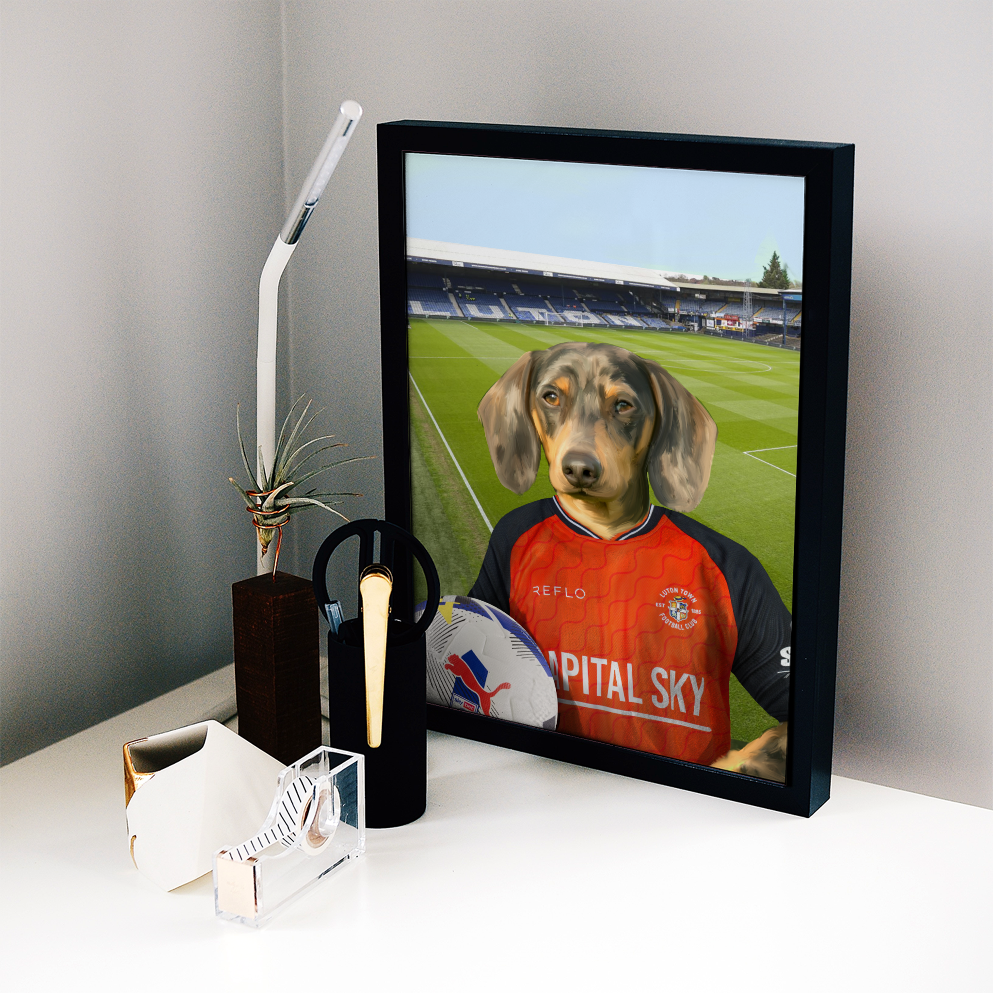 Your Pet in a Luton Town 25/26 Home Shirt