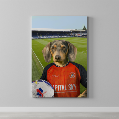 Your Pet in a Luton Town 25/26 Home Shirt