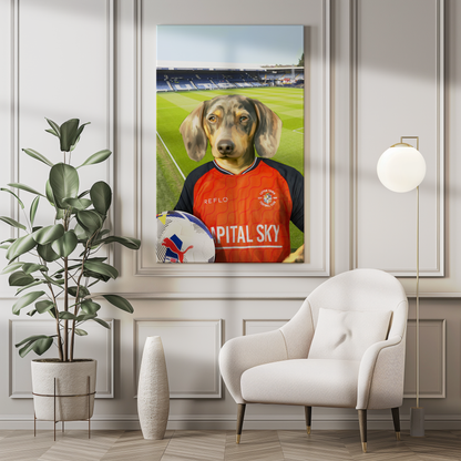 Your Pet in a Luton Town 25/26 Home Shirt