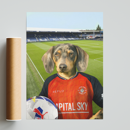 Your Pet in a Luton Town 25/26 Home Shirt