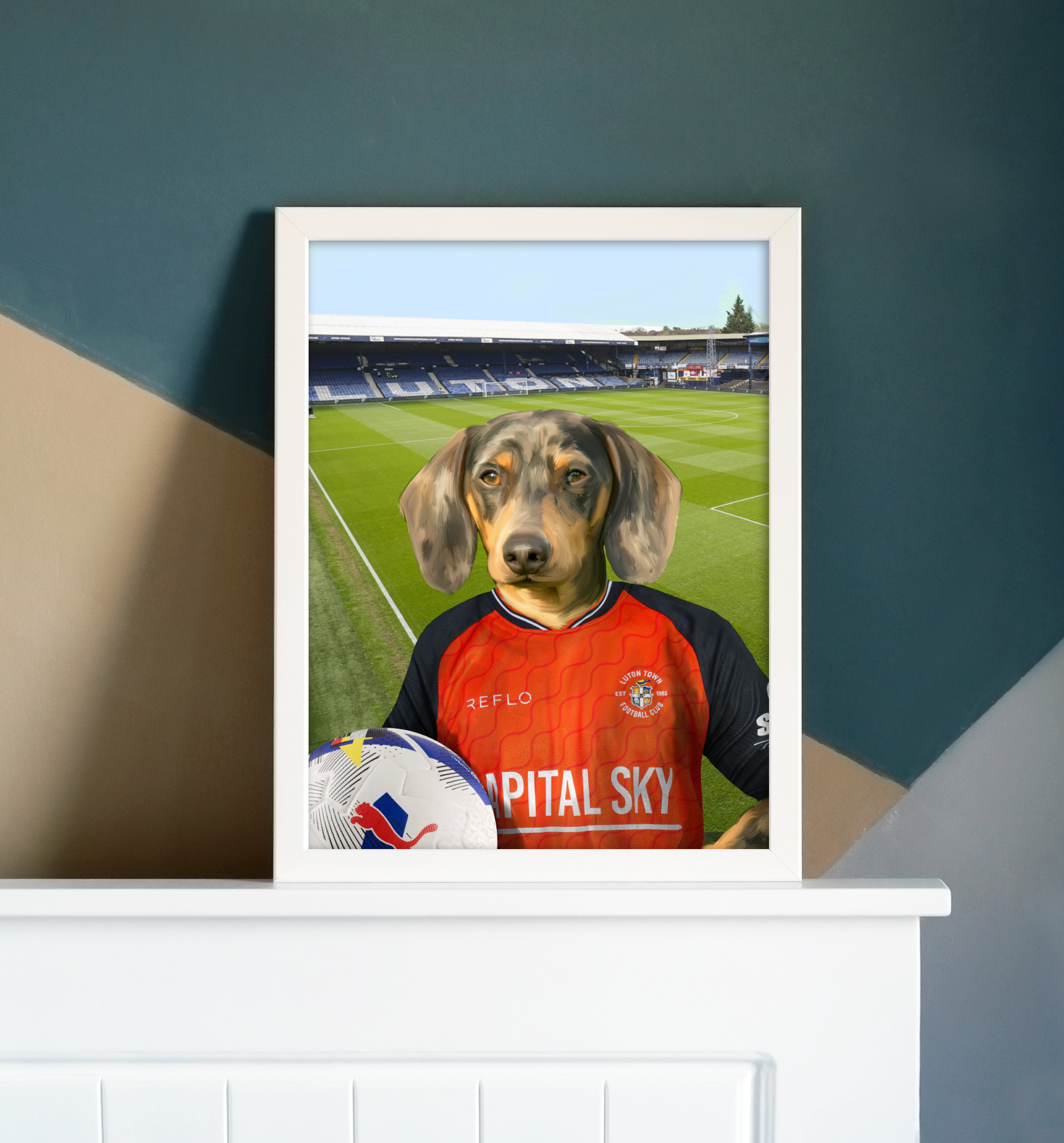 Your Pet in a Luton Town 25/26 Home Shirt