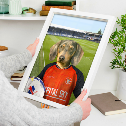 Your Pet in a Luton Town 25/26 Home Shirt