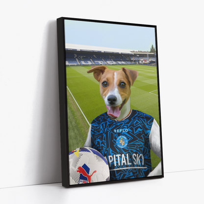 Your Pet in a Luton Town 25/26 Away Shirt