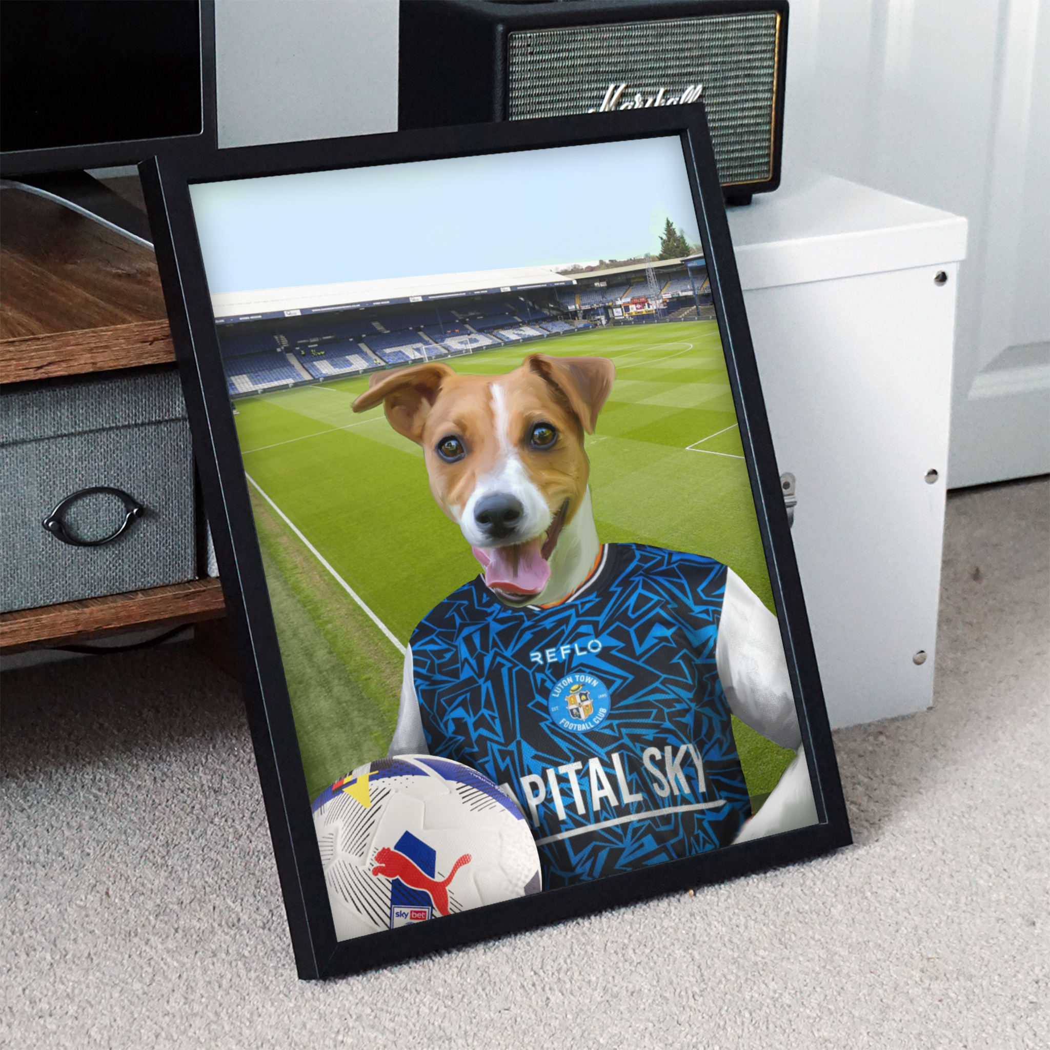 Your Pet in a Luton Town 25/26 Away Shirt