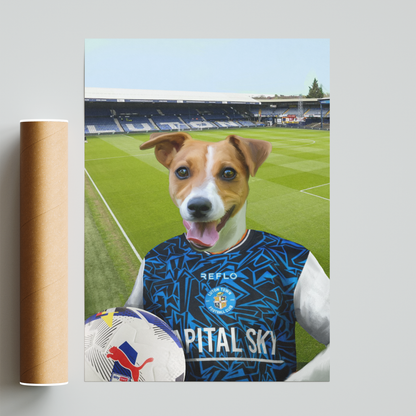 Your Pet in a Luton Town 25/26 Away Shirt