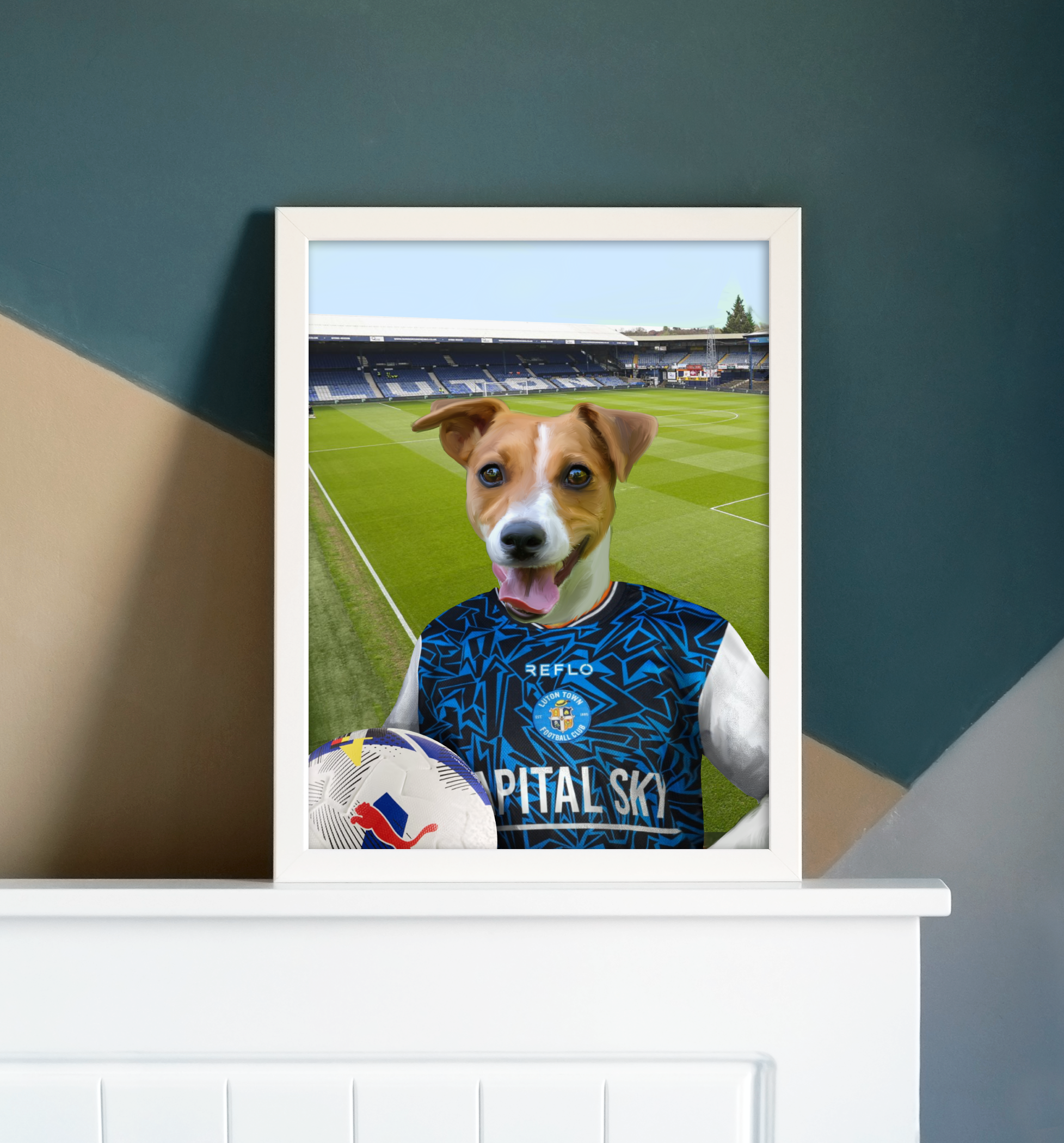 Your Pet in a Luton Town 25/26 Away Shirt
