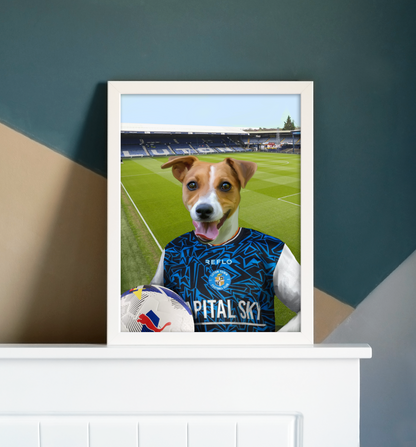 Your Pet in a Luton Town 25/26 Away Shirt