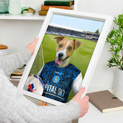 Your Pet in a Luton Town 25/26 Away Shirt