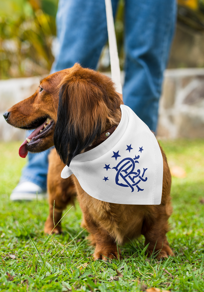 Rangers Dog Bandana