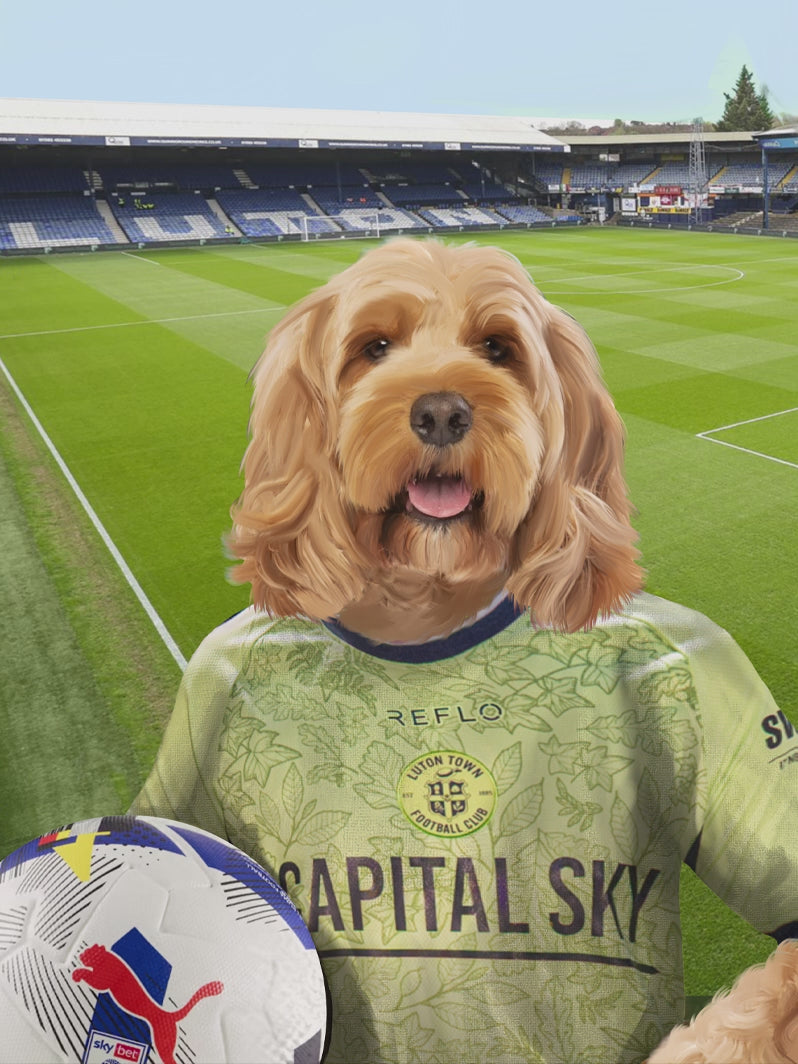 Your Pet in a Luton Town 25/26 3rd Shirt