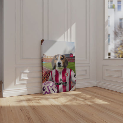 Your Pet in a Brentford FC 25/26 Home Adult Shirt