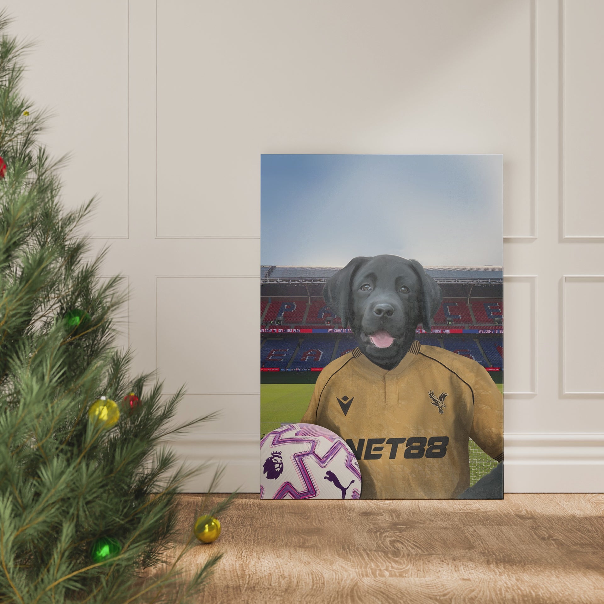 Your Pet in a Crystal Palace 25/26 Away Shirt