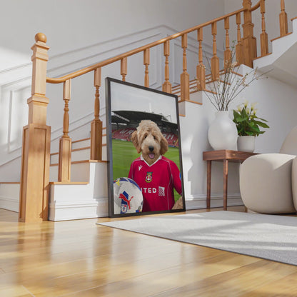 Your Pet in a Wrexham 25/26 Home Shirt