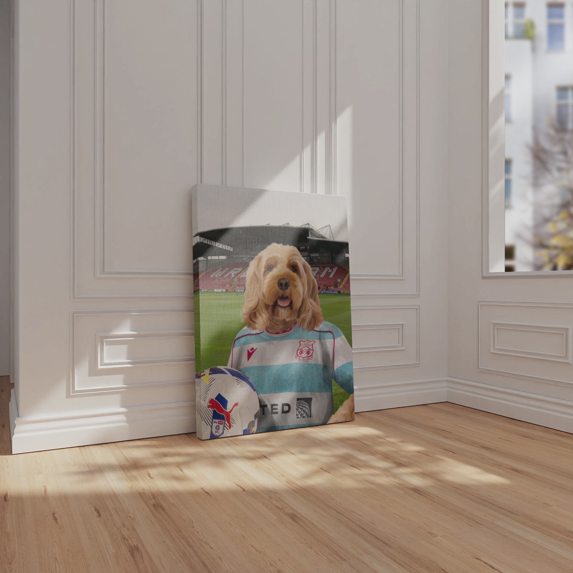 Your Pet in a Wrexham 25/26 3rd Shirt