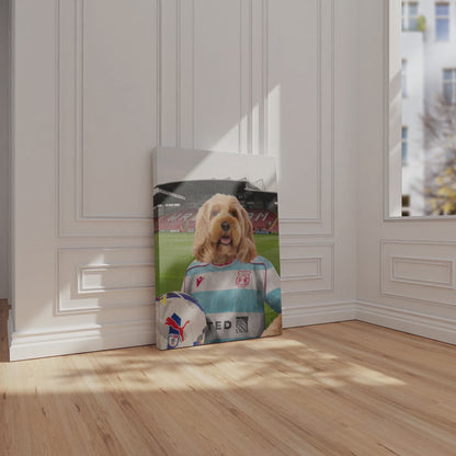 Your Pet in a Wrexham 25/26 3rd Shirt