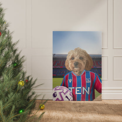 Your Pet in a Crystal Palace 25/26 Home Shirt
