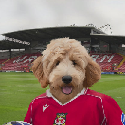 Your Pet in a Wrexham 25/26 Home Shirt