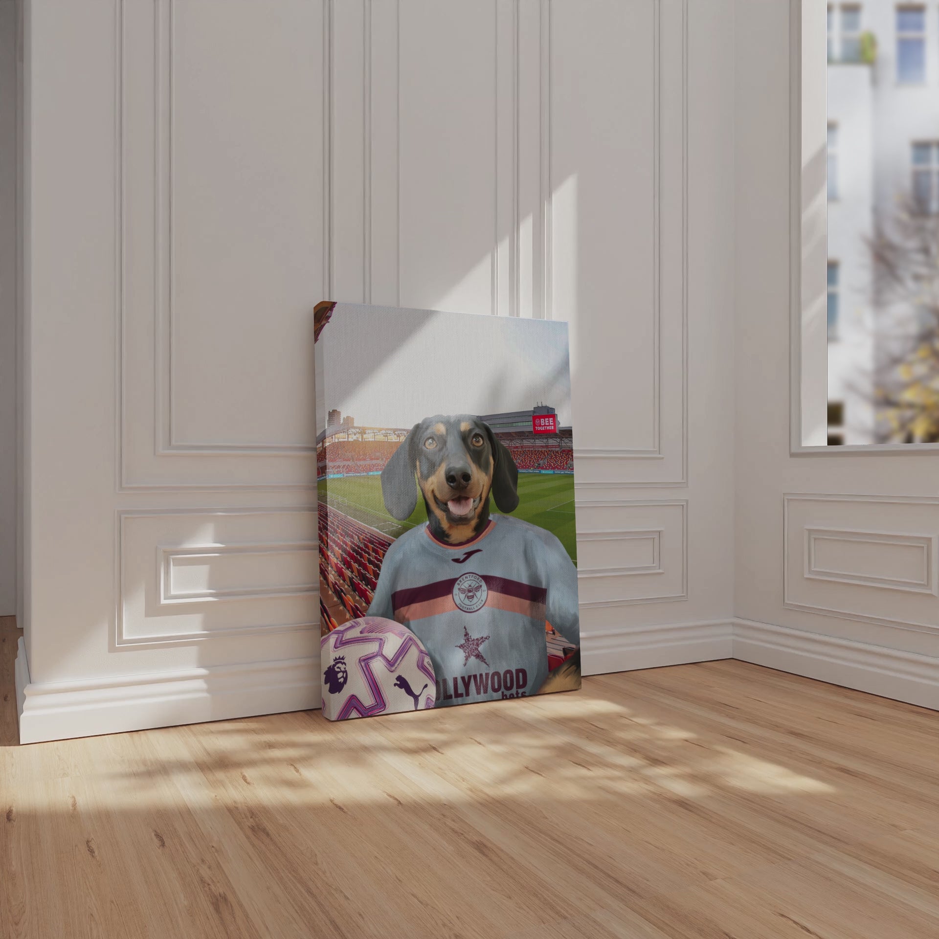 Your Pet in a Brentford FC 3rd Adult Shirt 2025/26