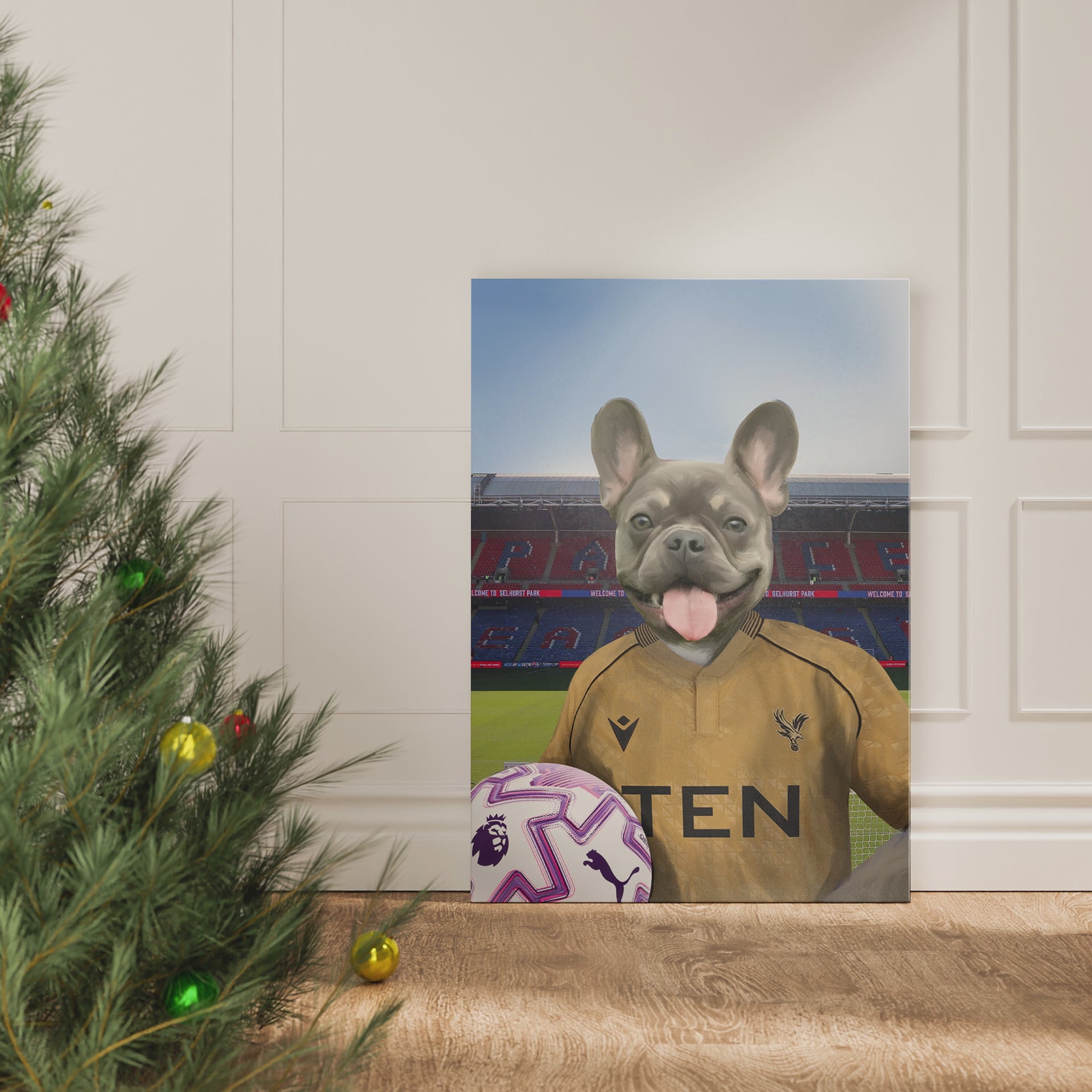 Your Pet in a Crystal Palace 25/26 Away Shirt