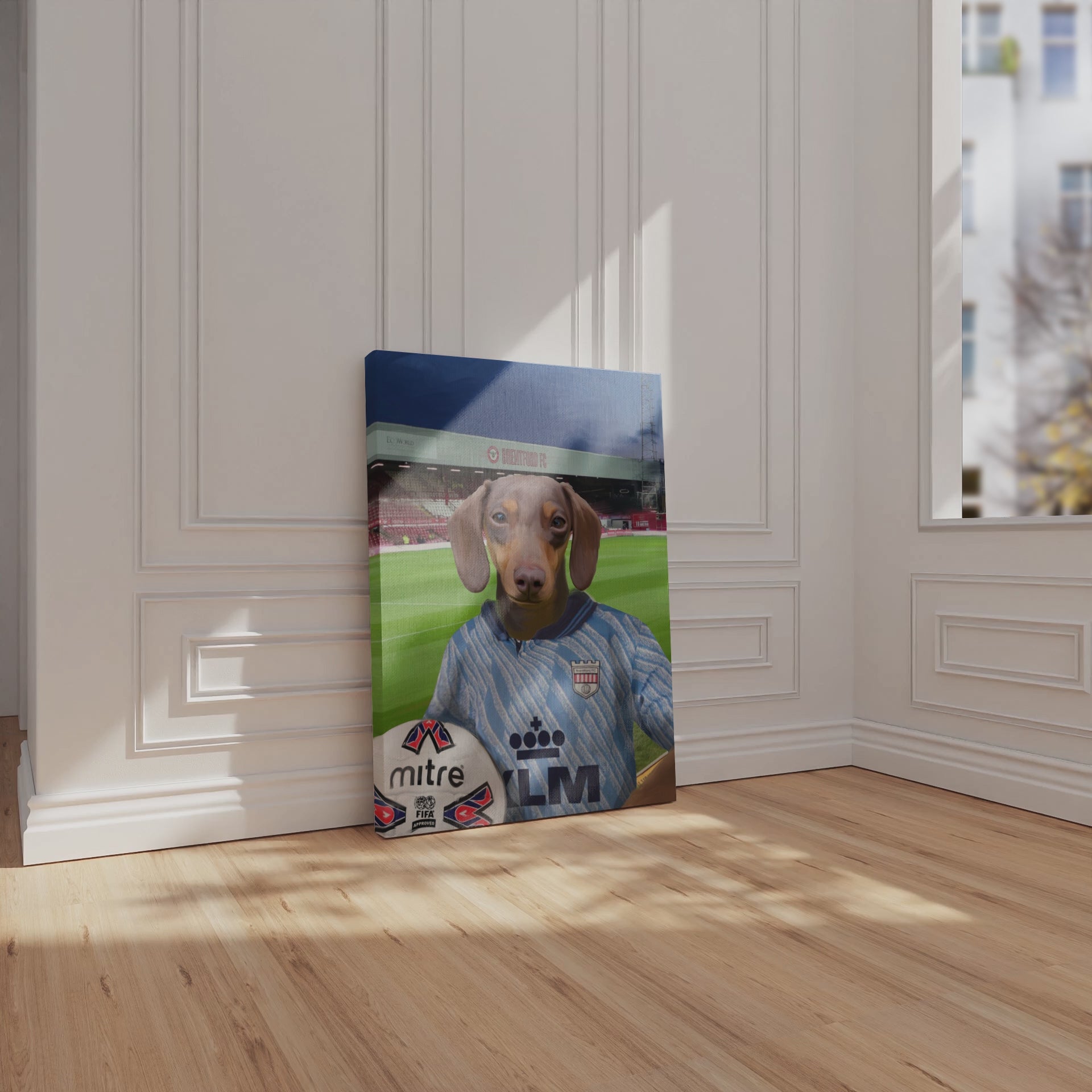 Your Pet in a Brentford FC 1992-94 Away Shirt