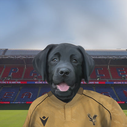 Your Pet in a Crystal Palace 25/26 Away Shirt