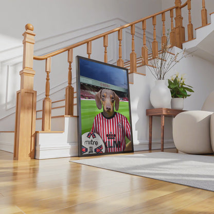 Your Pet in a Brentford Retro Shirt