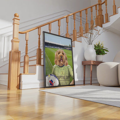 Your Pet in a Luton Town 25/26 3rd Shirt