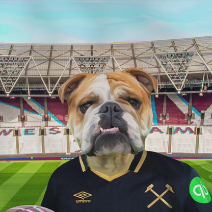 Your Pet in a West Ham 3rd Kit 2025/26