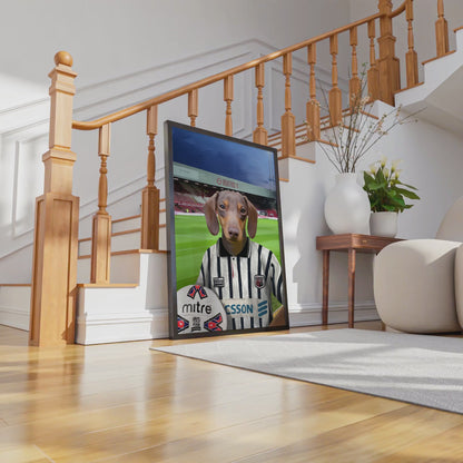 Your Pet in a Brentford FC 1996-98 Away Shirt