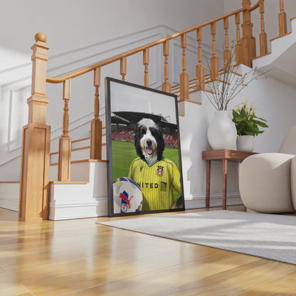 Your Pet in a Wrexham 25/26 Away Shirt
