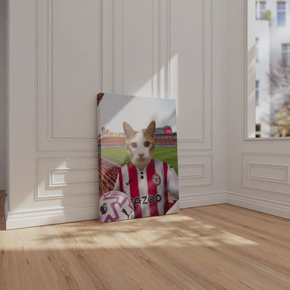 Your Pet in a Brentford 25/26 Home Shirt NEW