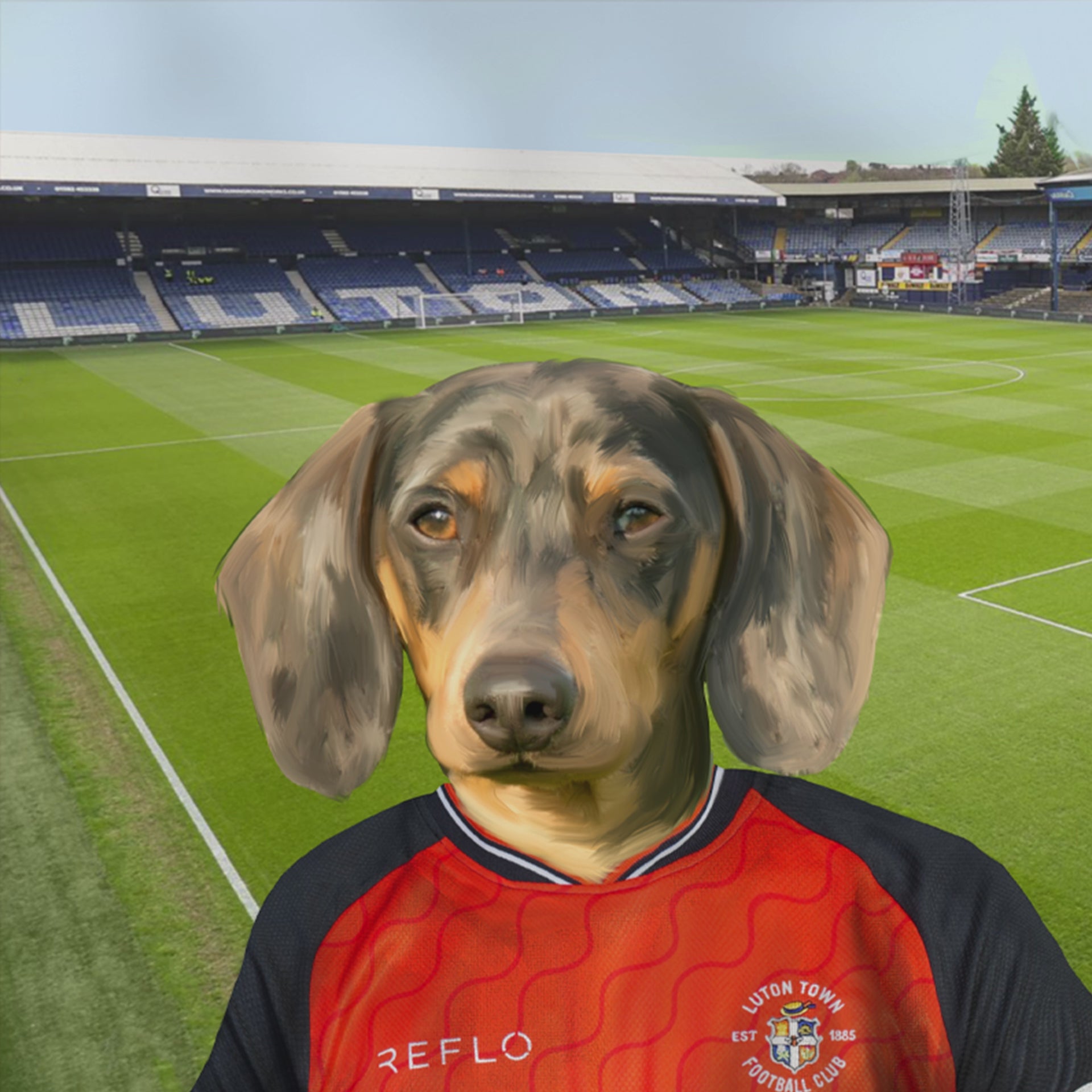 Your Pet in a Luton Town 25/26 Home Shirt