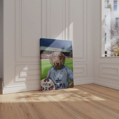 Your Pet in a Brentford Retro Shirt