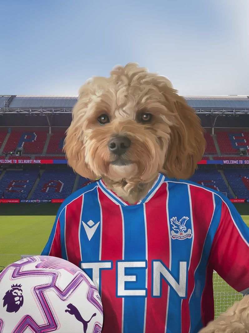 Your Pet in a Crystal Palace 25/26 Home Shirt