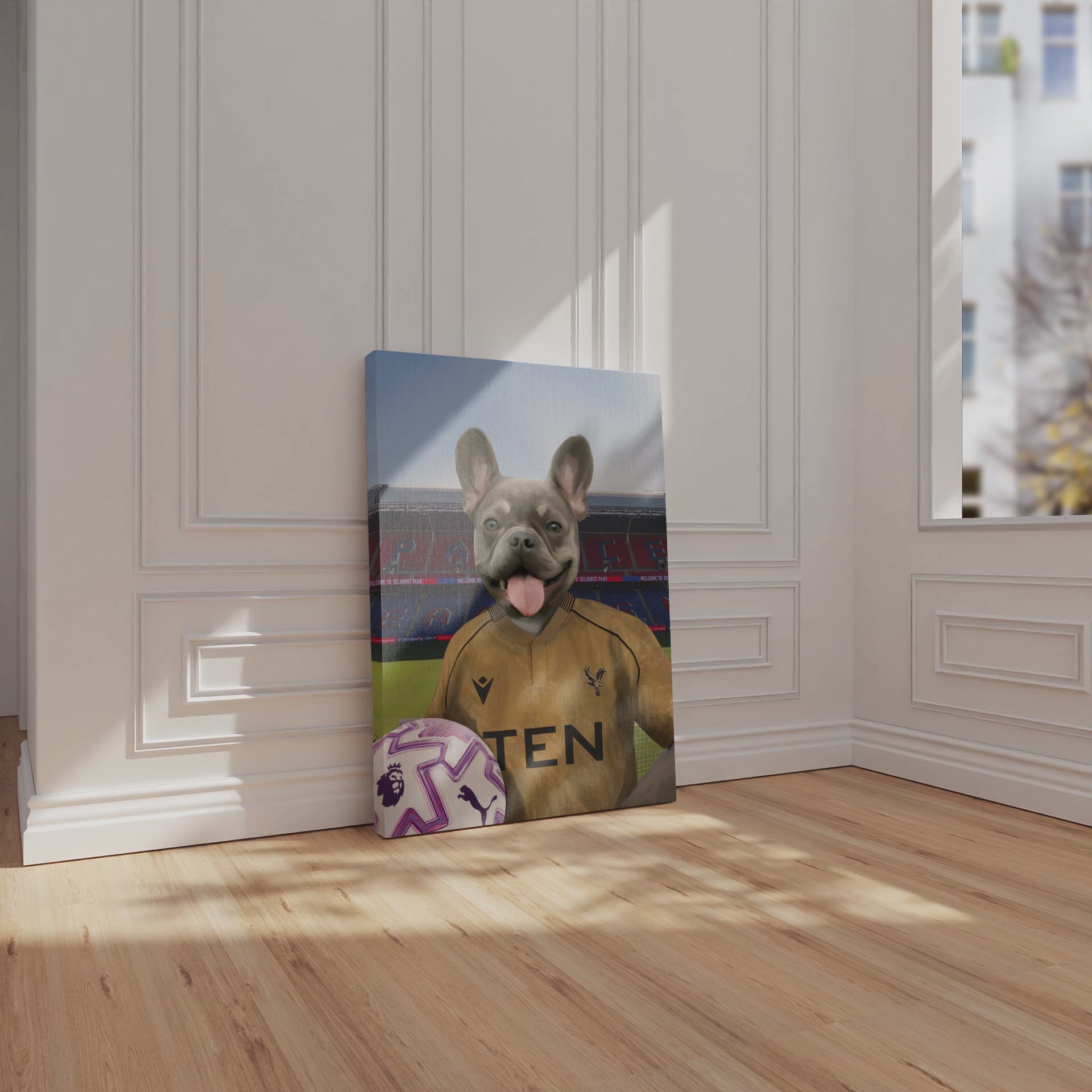 Your Pet in a Crystal Palace 25/26 Away Shirt