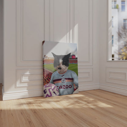 Your Pet in a Brentford FC 3rd Kids Shirt 2025/26