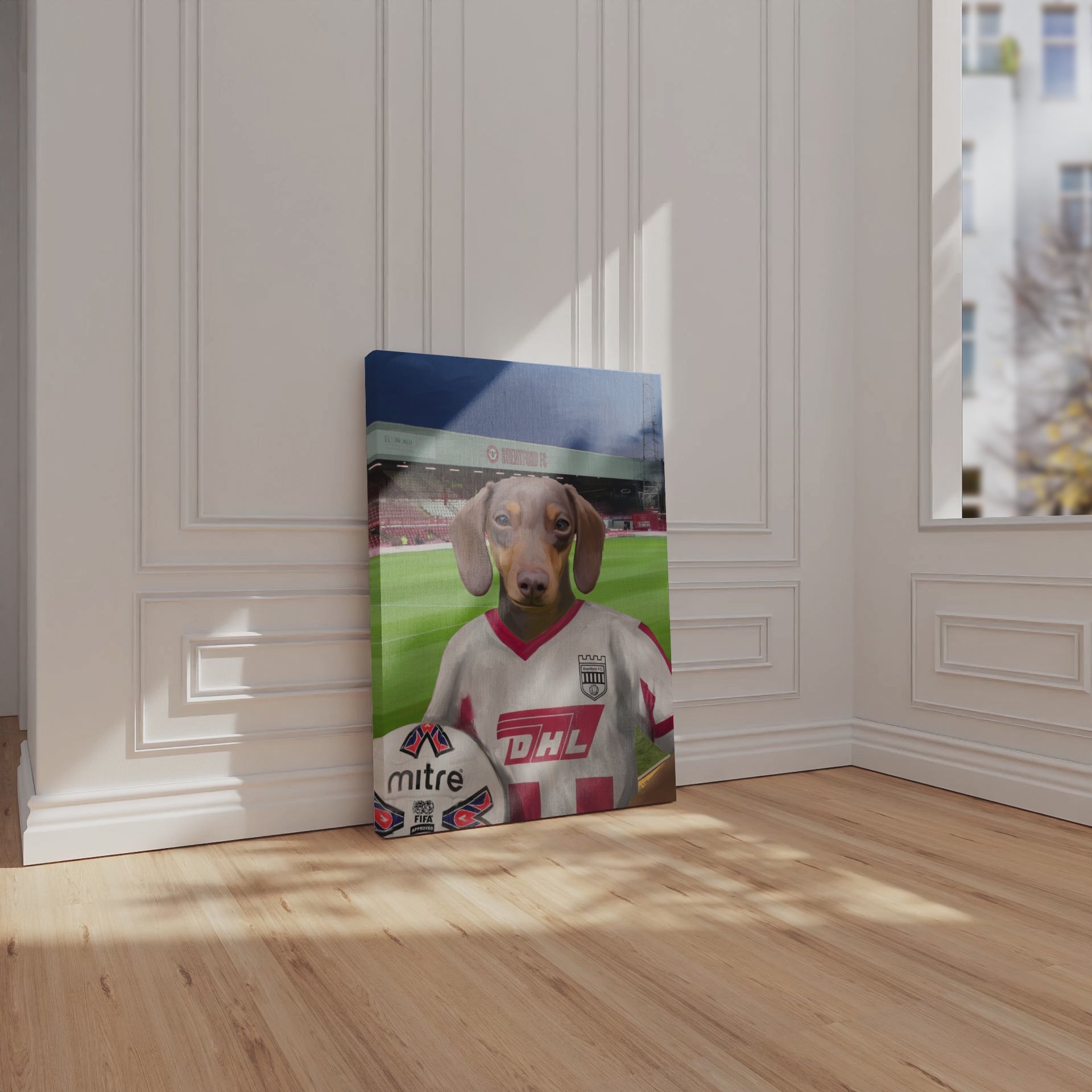 Your Pet in a Brentford Retro Shirt